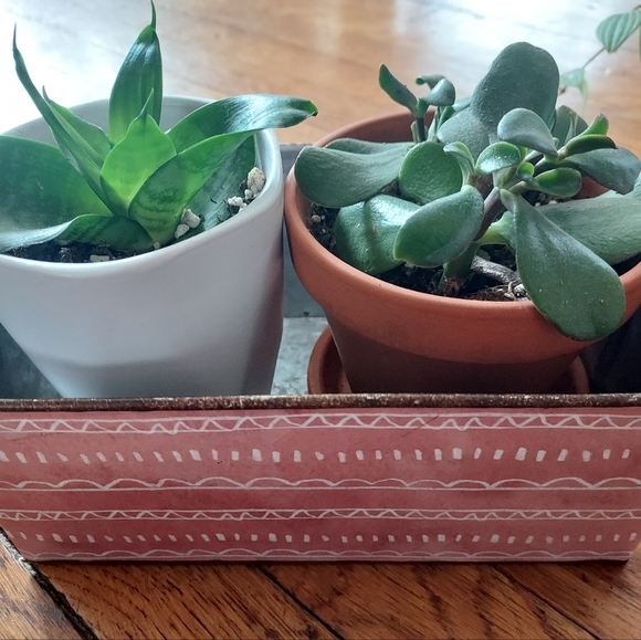 Rustic Plant boxes - *new* set of 2 - metal - Bloom Where You Are Planted - Picture 11 of 11